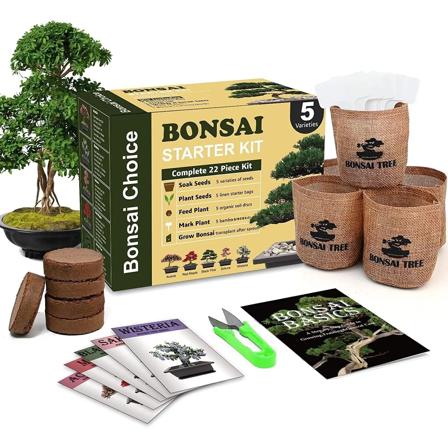 Indoor Starter Kit with Complete Planting Tools, Gardening DIY  for  Lovers
