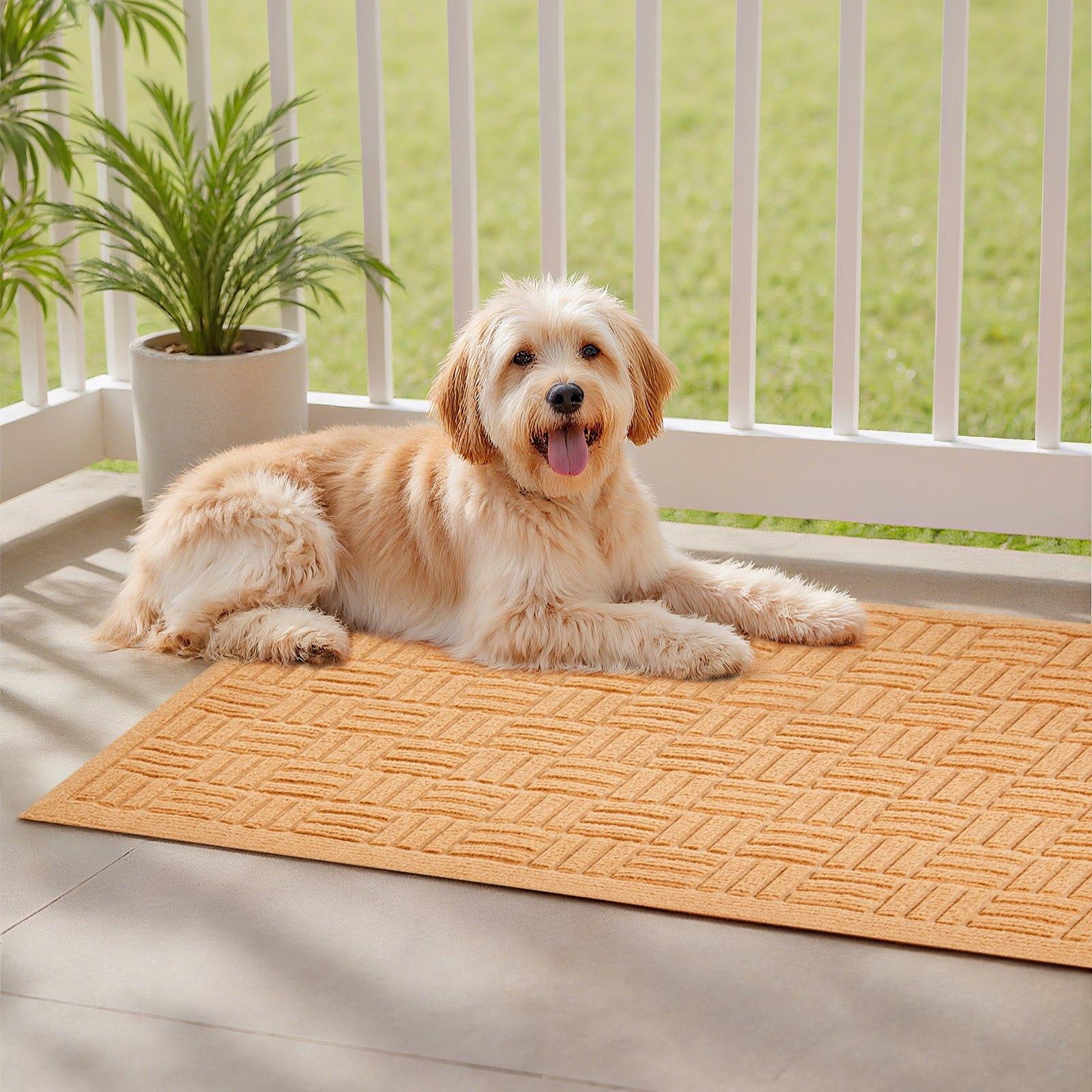 VEVOR Door Mat, 29.53 x 17.72 Inch, Front Door Mat Outside Entrance with Non-slip Rubber Backing, Dirt-Resistant & Absorbent, Easy to Clean, Low-Profile Doormat for for Entryway, Patio, Porch, Beige
