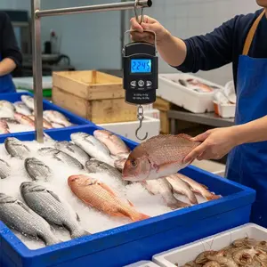 Portable Digital LCD Tape Scale: Multipurpose Luggage, Fishing, Camping Weight Tool for Travel & Home Use. Easy Storage, Accurate Measurement for All Weighing Needs.