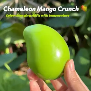 Mochichi by Jolislime Food & Fruit Asmr Stress Ball, 1 PC Sensory Fidget Toy, Cute Fruit Shape, Foodie Mash Squishy, Choose Your Style