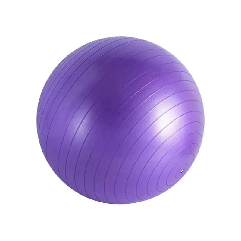 Anti-Burst Mini Exercise Ball, Small Fitness Stability Ball for Pilates, Yoga, Balance Training & Core Workout, Portable Workout Ball for Gym, Home Fitness, Stretching & Relaxation