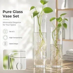 2Pcs Minimalist Glass Vases, made of high-transparent glass for clear view of hydroponic plants. Add minimalist elegance to your space, perfect for indoor green plants like pothos. Hanging design saves space.