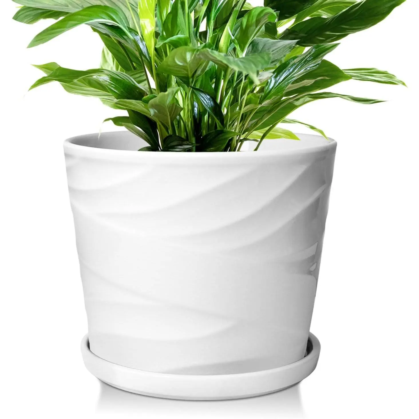 8 Inch Plant Pot,Ceramic Planter with Drainage and Saucer,Ceramic Pots for Plants,Indoor Plant pots,Ceramic Flower pots(Pure White)