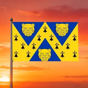 [jit]1PC 1000 Flags Shropshire County Flag is made of 100% polyester fiber, comes with 2 hanging rings, suitable for home/garden/outdoor/indoor use, available in 4 sizes. Wall banner, poster banner, flag banner, sail banner, sign banner