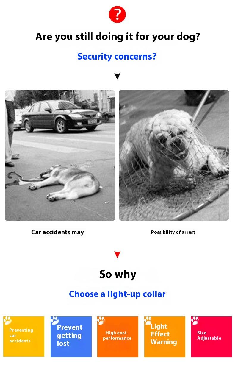 【Pet Essential】USB rechargeable luminous leather belt LED flashing collar with adjustable brightness, extremely cool. christmas  collar ball toy Adjustable LED harness