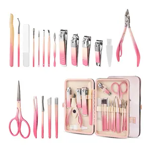 Gradient 10/19 Piece Nail Tool Set, Professional Stainless Steel Manicure Kit, DIY Beauty Tools, Portable Storage Box, Birthday Gift