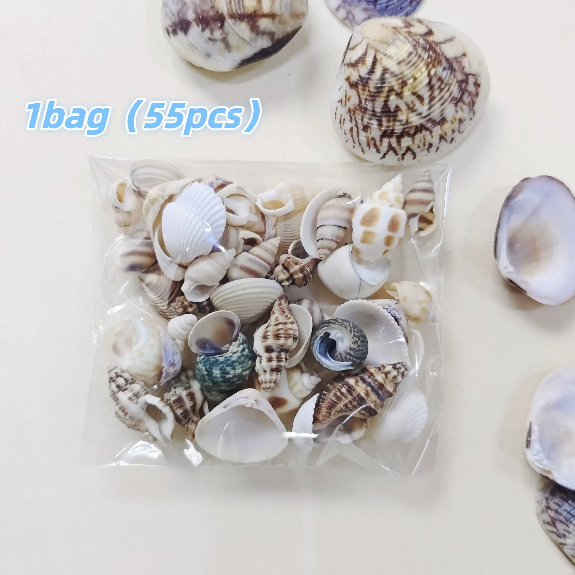 55pcs Random Shape Seashells, Aquarium Decorations, Fish Tank Decor, Aquarium Supplies, Suitable for Aquascaping Enthusiasts, 0.39-0.98 Inch Sizes, Unique Shell Designs