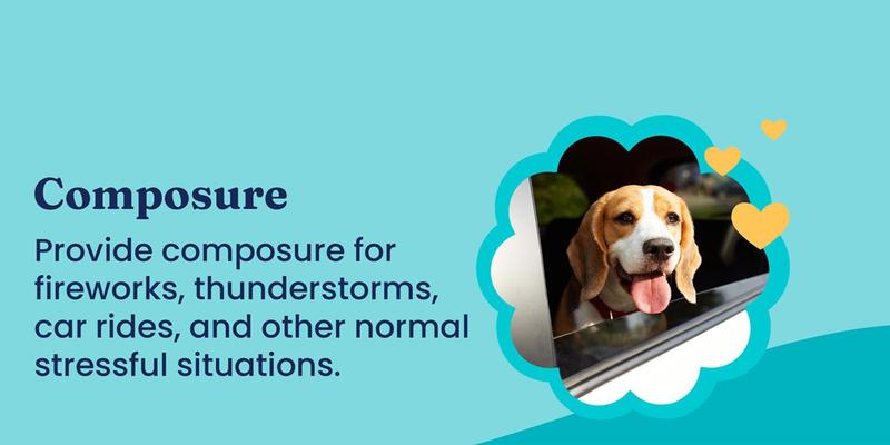 Dog Pet Chews for All Breeds - Multivitamin, Calming - Chicken & Meat Flavors, Skin & Coat Support, Training Treats 90 Capsules-BY