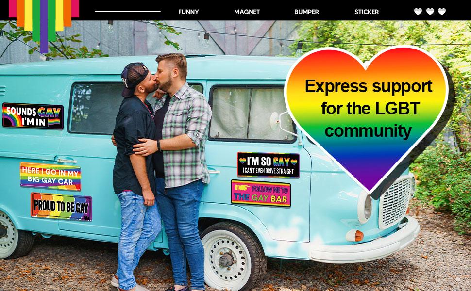 12 Pcs Gay Pride Funny Magnet Bumper Sticker LGBT Rainbow Pride Prank Magnetic Sign for Vehicle Truck Reusable Magnet Sticker for Fridge(Classic)
