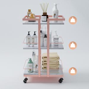 Esthetician Cart with Wheels Utility Salon Rolling Trolley, Mobile Storage Organizer for Beauty Spa Cosmetology Massage, Tattoo Manicure Facial Tool Holder Station