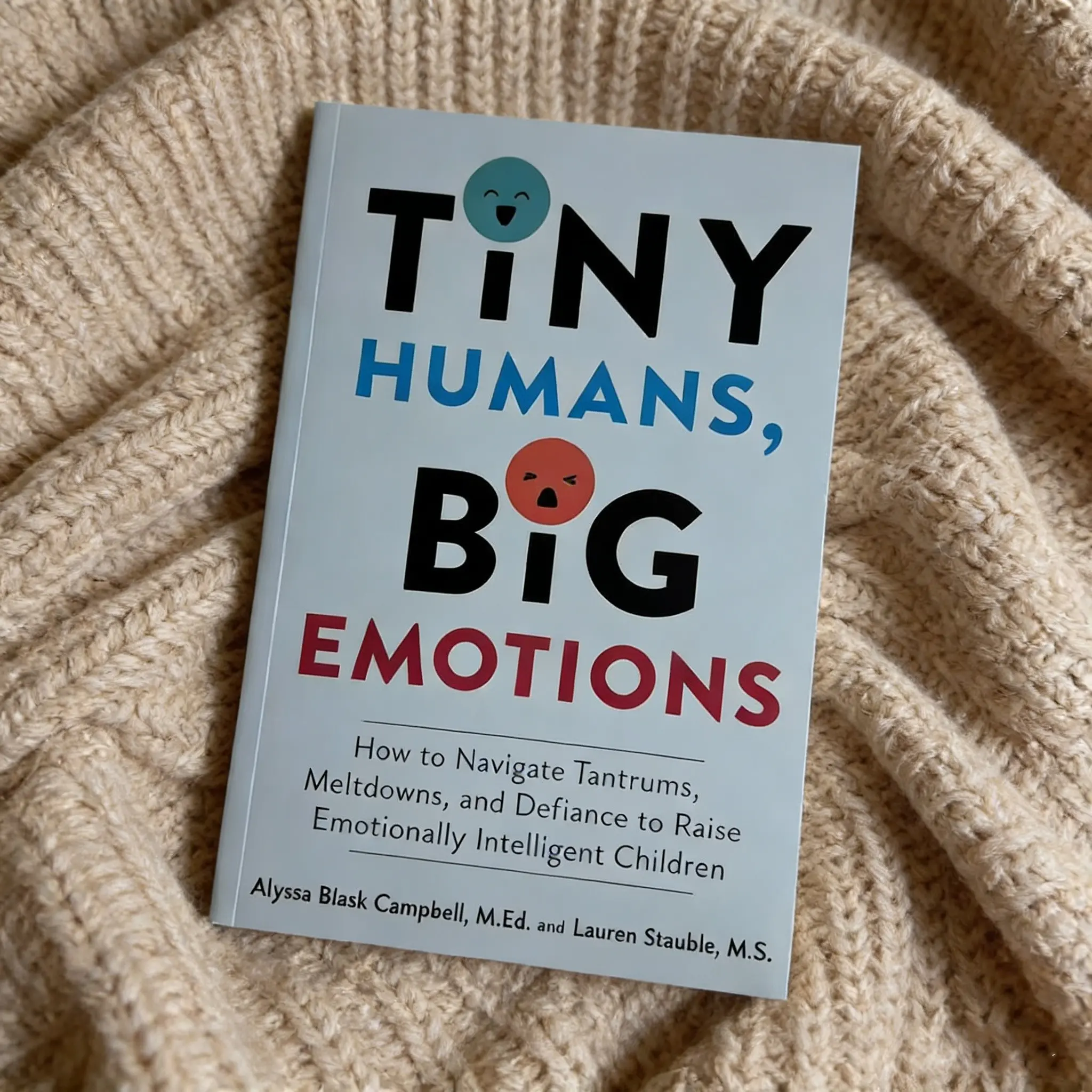 Guide for Raising High Eq Kids, Calming Crying and Tantrums, Building Emotional Intelligence, Ages 0-8, Parents, Teachers, Early Educators
