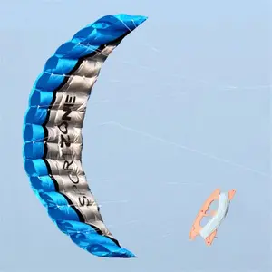 2.5 Meter Novelty Dual Line Flying Kite Parafoil Sports Software Paragliding Nylon Beach Kite Stunt Outdoor Toys For Adult Kids