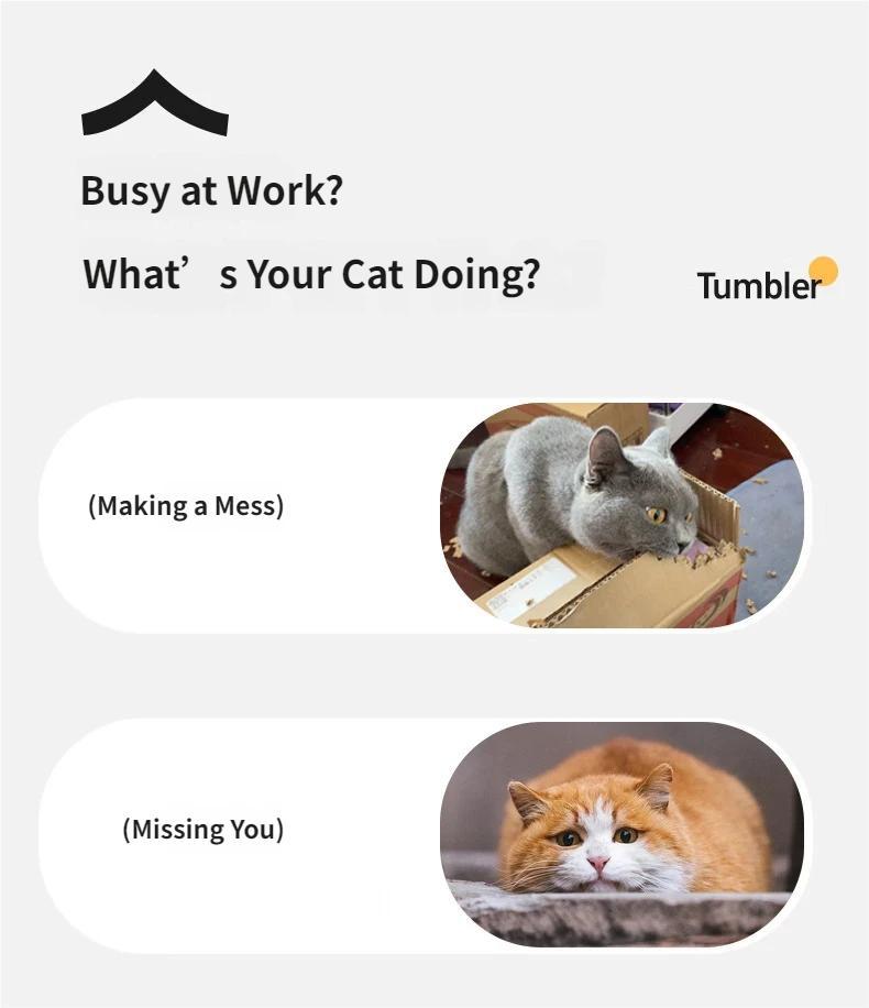 Interactive Cat Toy Ball, Automatic Rolling Pet Toy with Tail, Smart Obstacle Avoidance Cat Toy, Rechargeable Kitten & Small Dog Toy, Keeps Cats Busy, Indoor Self Play, Bite Resistant Silicone, Quiet and Easy to Clean