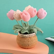 2 Pieces Crochet Hook Set, Suitable for Beginners, Flowers Crochet Hook Set, Crochet Starter Kit Potted Plants with Step-by-Step Video Tutorial, Suitable for Beginners and Adults (Daisies and Sunflowers)