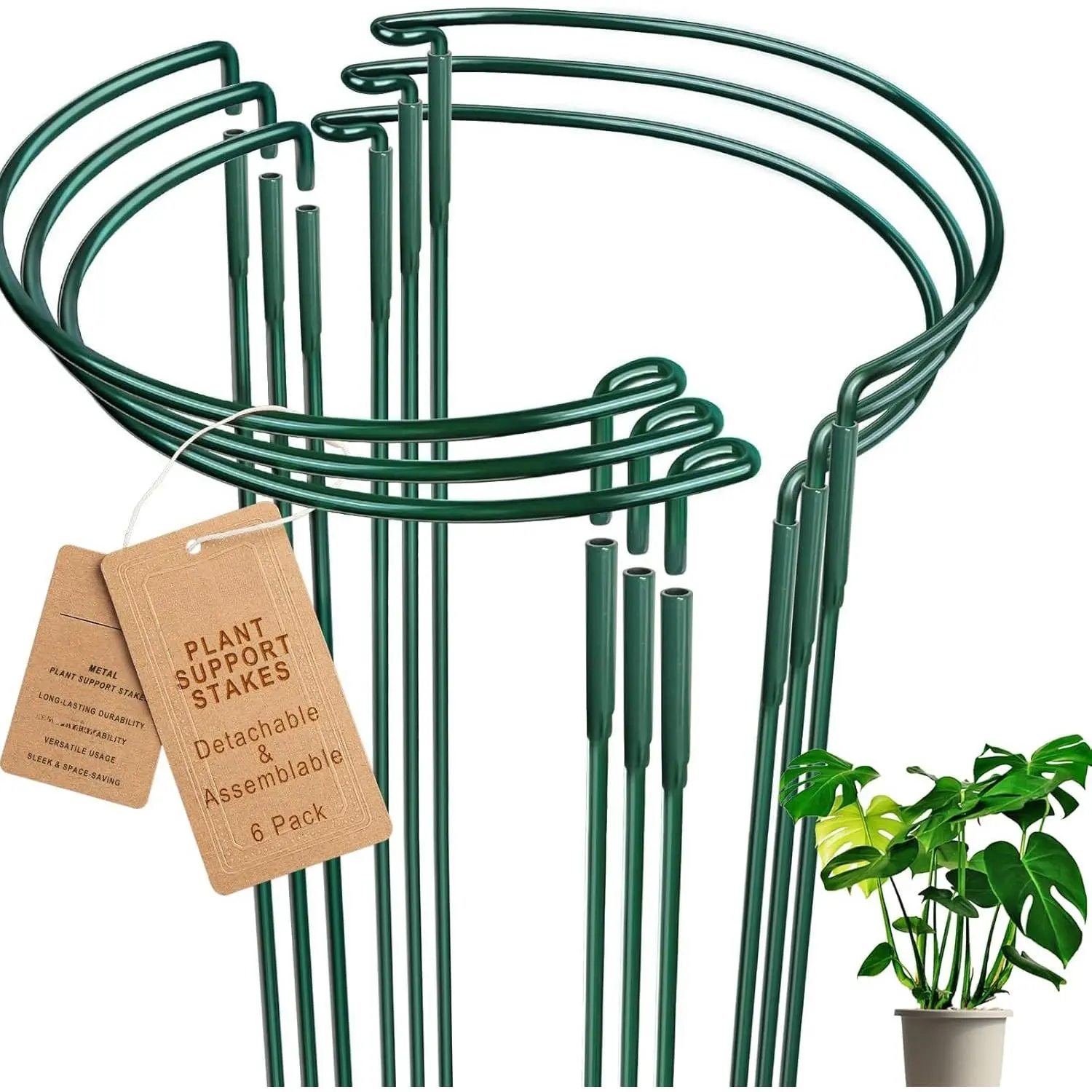 6 Pack Detachable & Assemblable Metal  Support Stakes - Garden Support Ring, Tomato Seedling Cage, Young Monstera/Pothos for Growing Indoor/Outdoor (10" W x 16" H)
