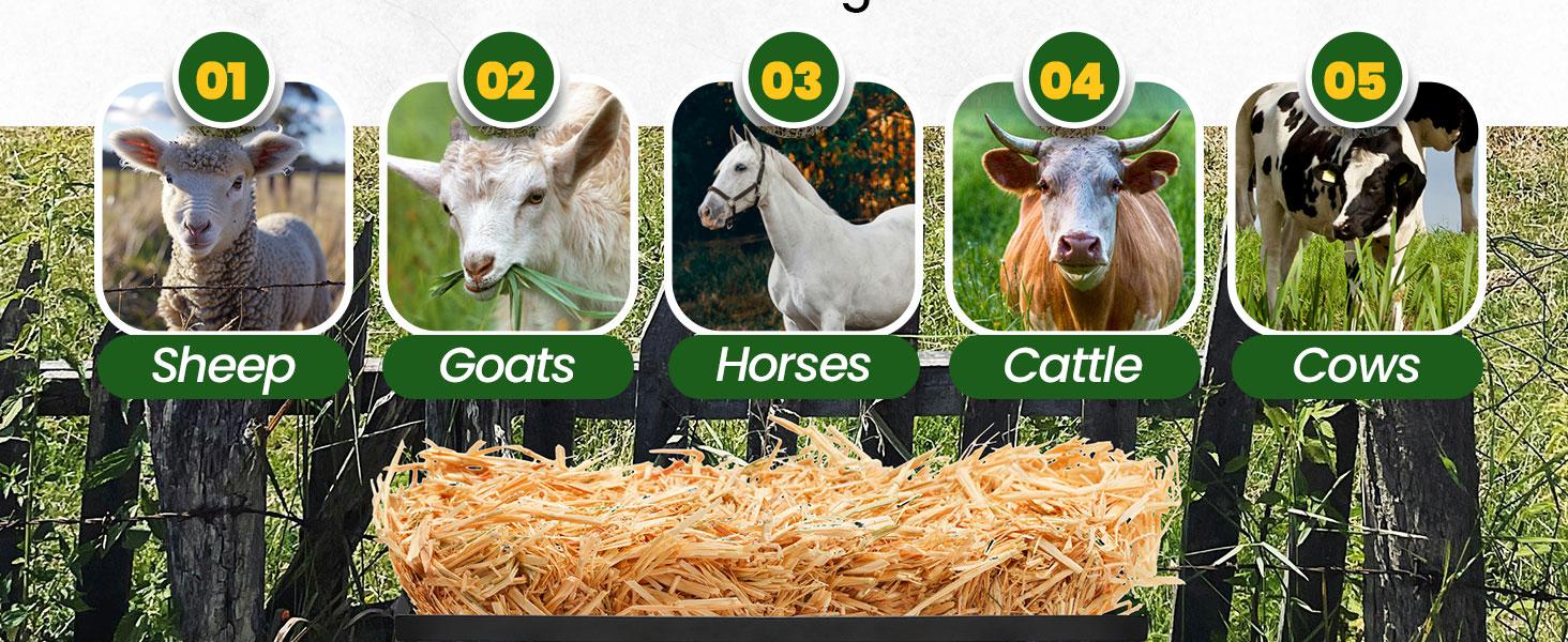 Hay Feeder Hay Rack Wall Mount Horse Goat Feeder, Heavy Duty Livestock Feeder with Rounded Edges for Farm Sheep Horses Cattle Cows etc Feeding Steel