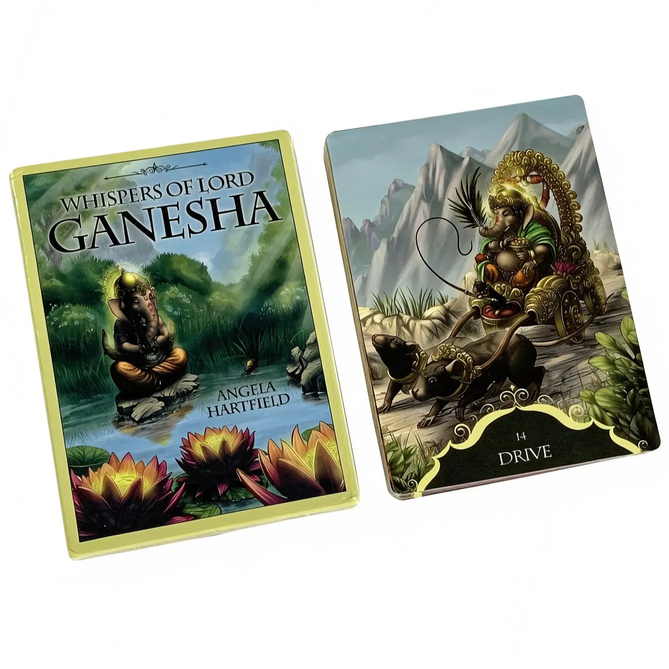 Elephant God Oracle Cards Set, 50 Card Deck for Spiritual Guidance, Clear Obstacles, Gain Wisdom, Perfect Gift for Beginners and Enthusiasts