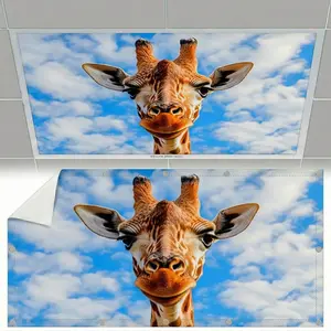 Fluorescent Light Covers for Ceiling Lights Magnetic Cloud Cover for Fluorescent Or LED Fixture 2ft x 4ft Classroom Home Office Decoration Filters Overhead Lighting
