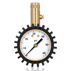 Tire  Gauge with Protective Rubber Guard, Straight Chuck, 60psi