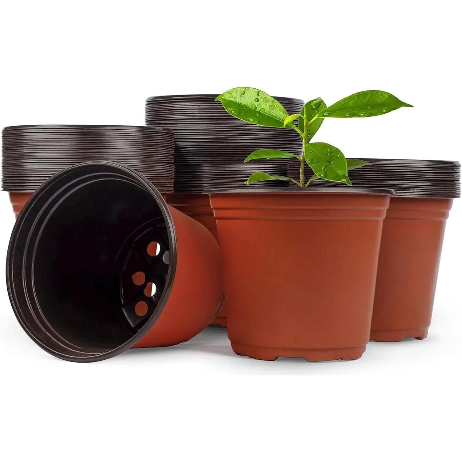 100 PCS Plastic Nursery Pots 6 Inch Seed Starting Pots for Succulents, Seedlings, Cuttings, Transplanting