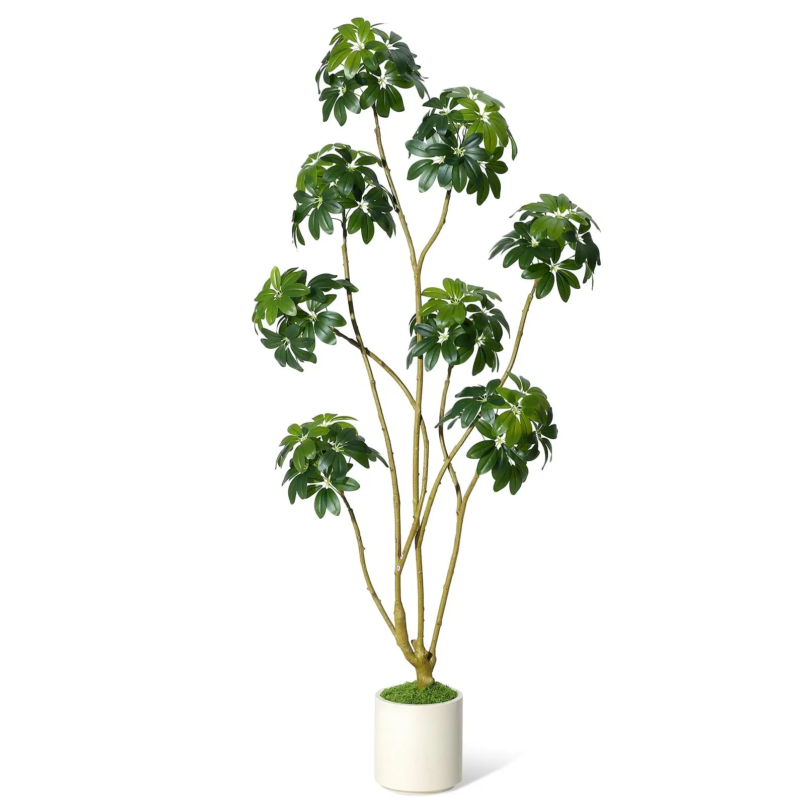 Garvee 6ft Faux Umbrella Tree with Adjustable Multiple Trunks and White Planter, Realistic Artificial Black Olive Tree for Indoor and Outdoor Home or Office Decor, Maintenance-Free, Single Piece