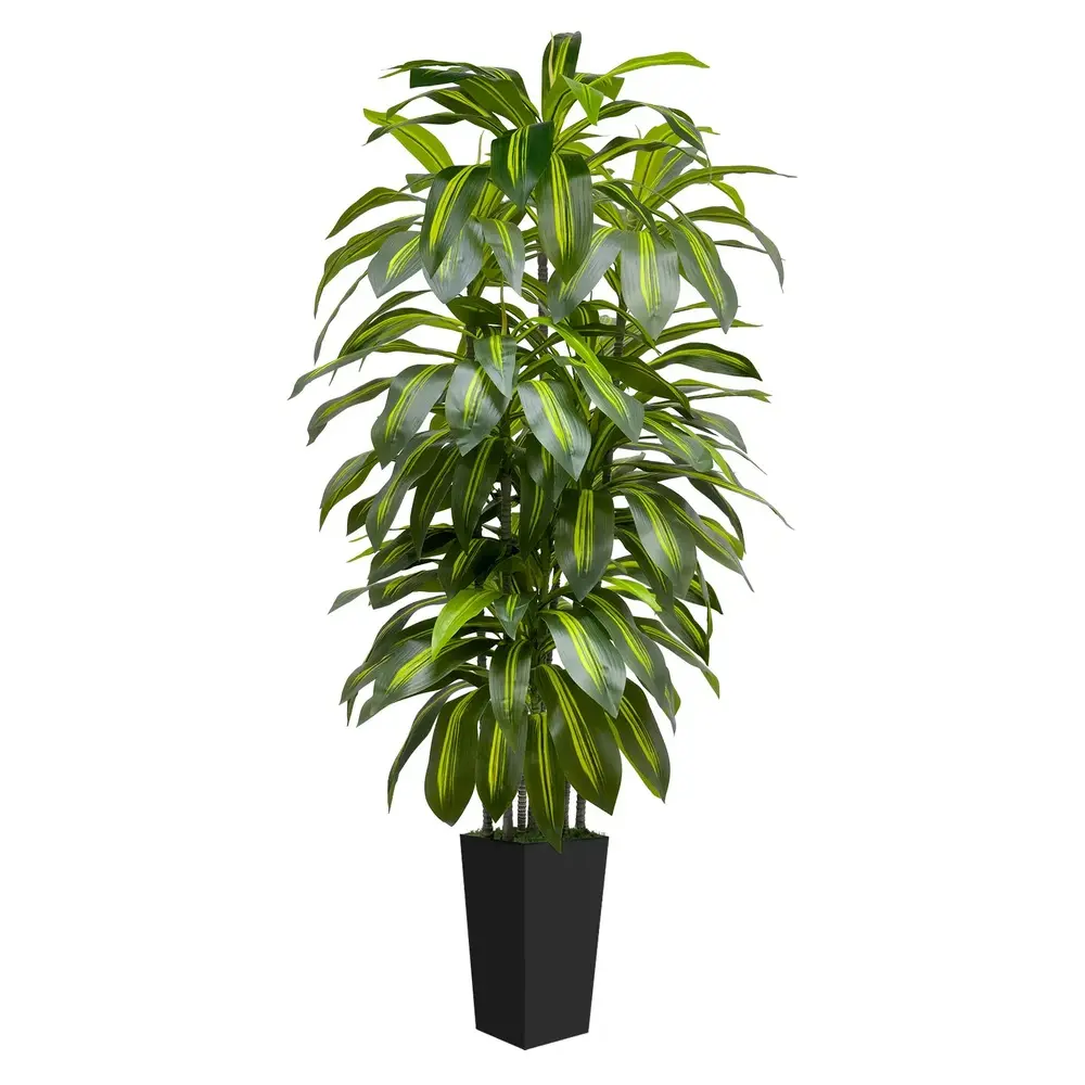 Olive,cedar,realistic,6FT 5FT Artificial Dracaena Tree – Tall Faux Indoor Plant with Black or White Planter – Large Fake Floor Plants for Living Room Bedroom Office Home Decor,Tropical,Handmade,Preserved,crochet,pipe,ficus,,,,trunk,outdoor,garden,table