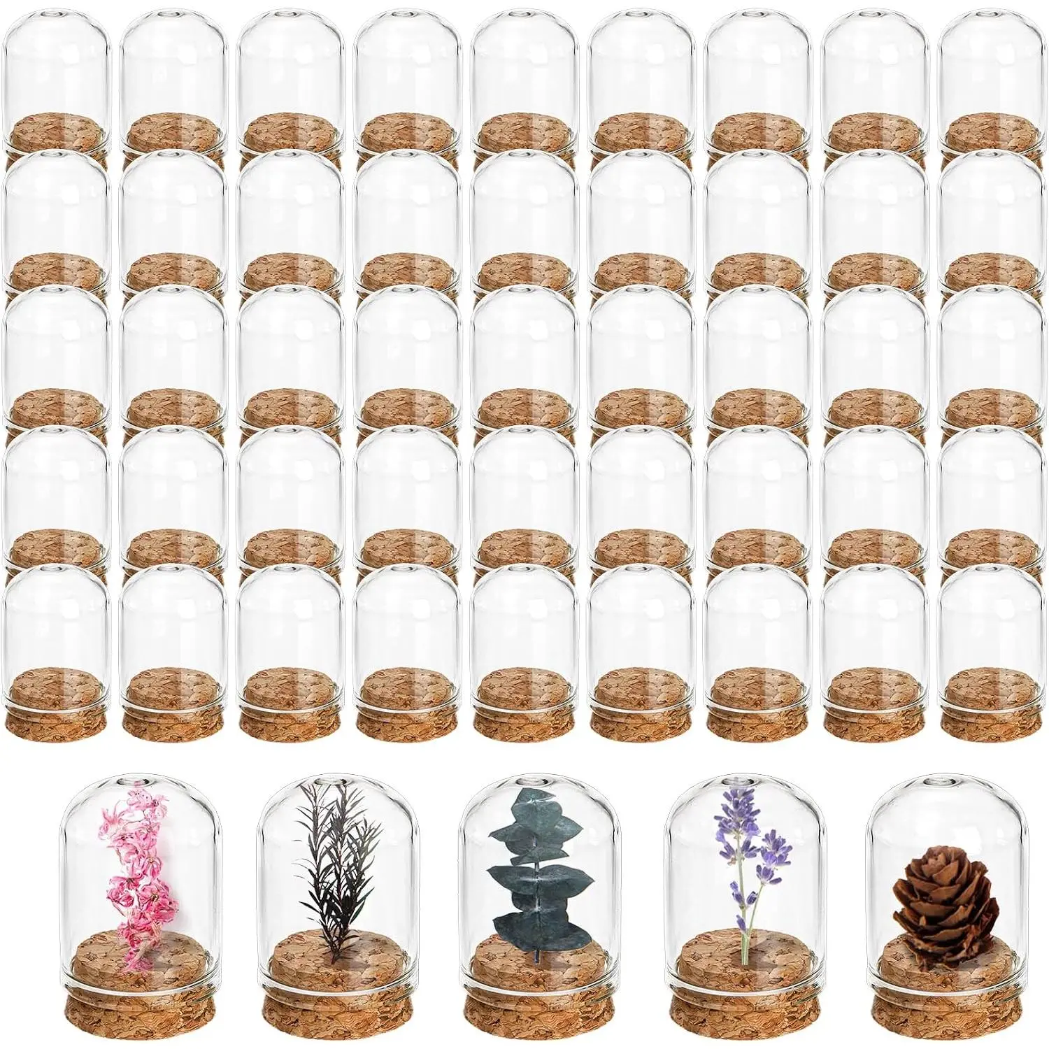 50 Pack Cloche Bell Jar, Mini Glass Jars with Cork Lids, 8ml Glass Dome Cloche with Base, Decorative Display Dome for Specimen, Flower Storage, Arts Dispaly, Party Favor