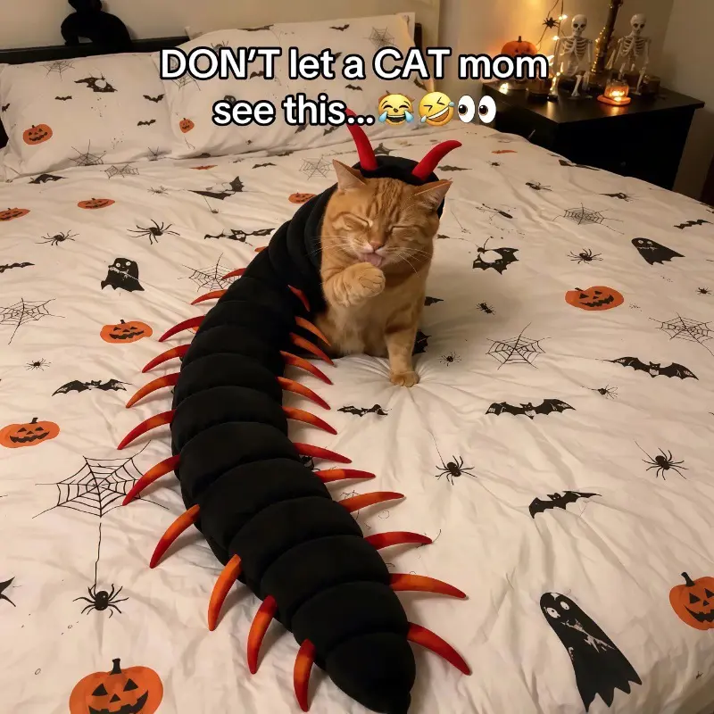 Halloween Cat Centipede Clothes Long Multi-Legged Transformation Clothes Funny Pet Funny Costumes Fun Cat Dress Up