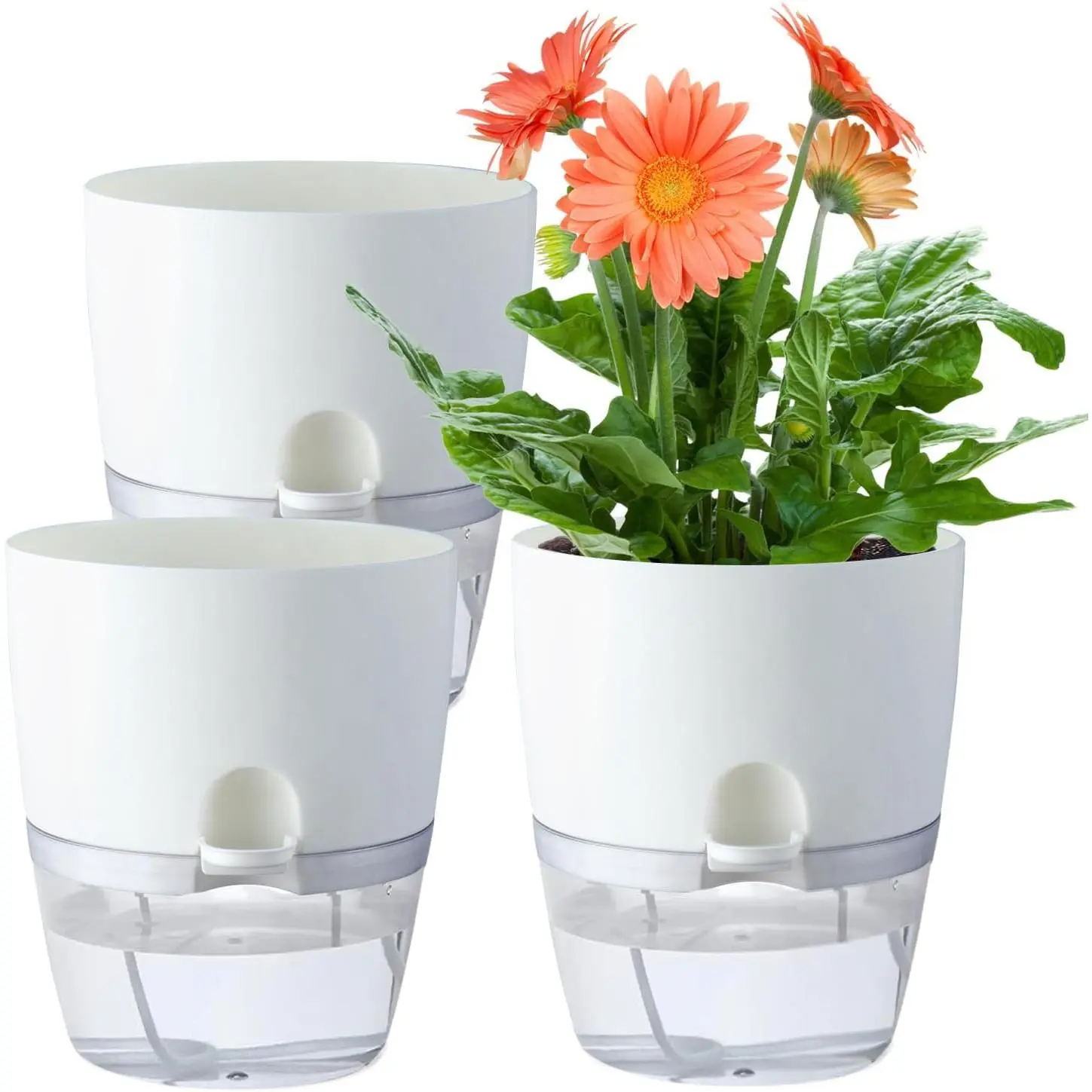6" Self Watering Pots for Indoor , 3pk White w/Drainage Holes | Modern Decorative Garden Pots, Orchid Planters with Wick Ropes,  Violet Pots