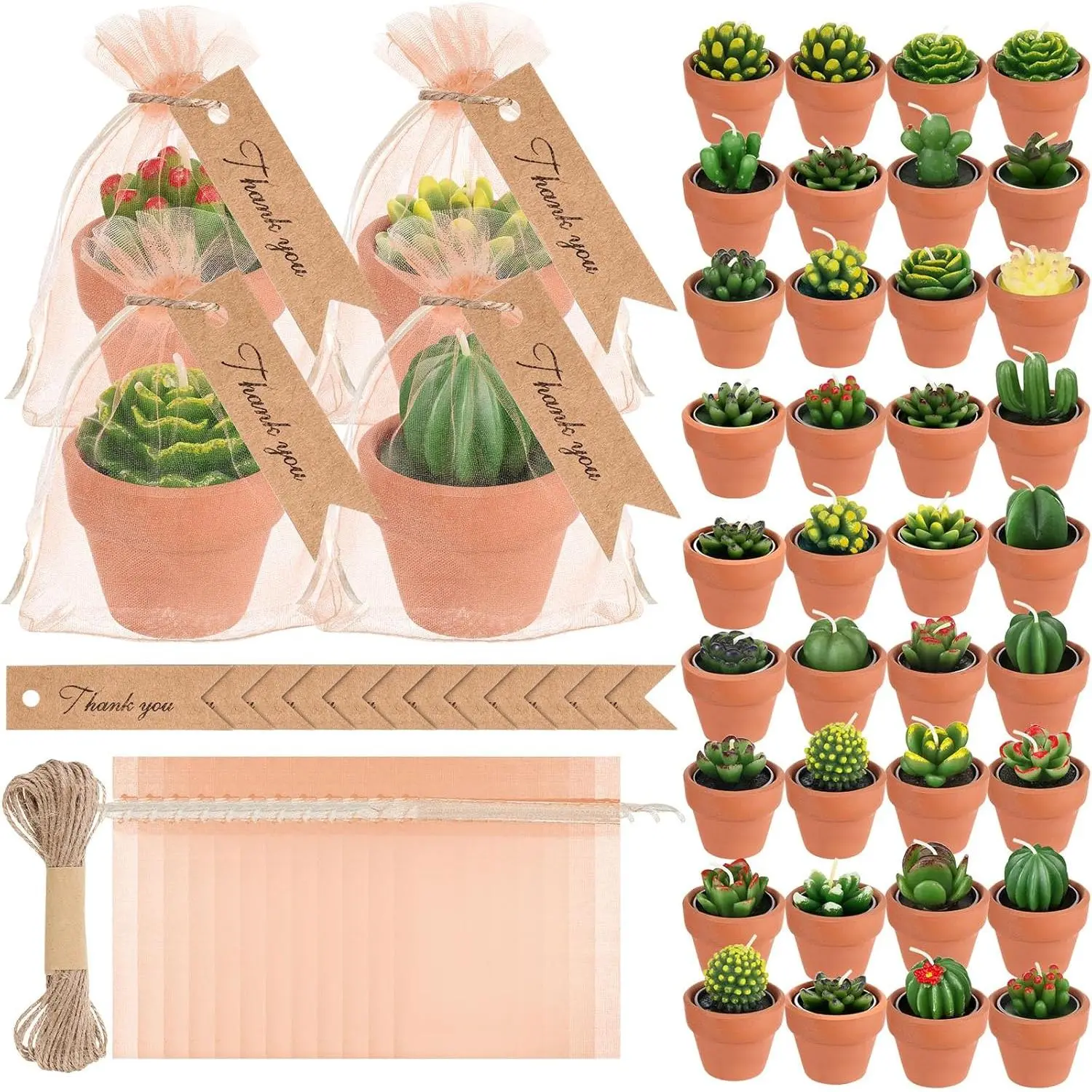 48 count Succulent Tealight Candles - Wedding Party  Shower Valentines Gifts Birthday Pack with Terracotta Pot, Organza Bag, Tags, Twines