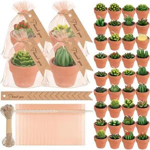 48 count Succulent Tealight Candles - Wedding Party  Shower Valentines Gifts Birthday Pack with Terracotta Pot, Organza Bag, Tags, Twines