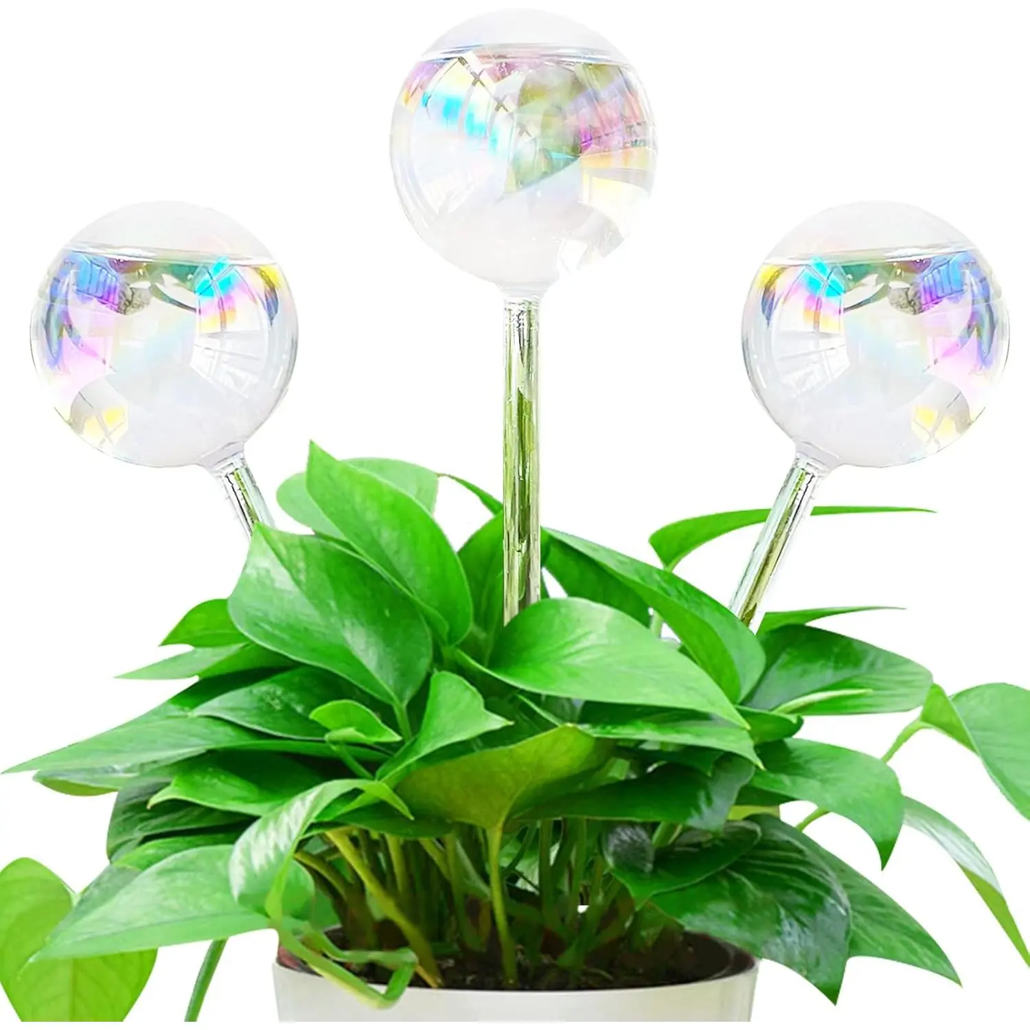3 count  Watering Globes,Self Watering Planter Insert  Accessories,Colorful Glass  Watering Devices for Indoor