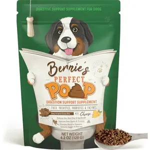 Digestion & General Health Supplement for Dogs Fiber Prebiotics Probiotics & Enzymes Relieve Digestive Conditions Optimize Stool Improve Health (Cheddar Cheese, 4.2 oz)