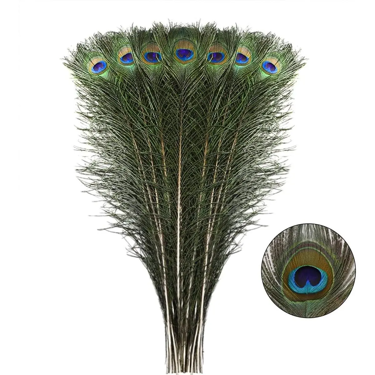 Natural Long Peacock Feathers - 40pcs 23-28 inches for Floral Arrangements, Wedding, Home and Party Decorations
