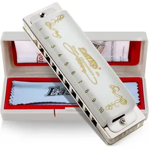 Blues Harmonica, 10 Holes 20  Diatonic G Key with White Cover, T008L Harmonica
