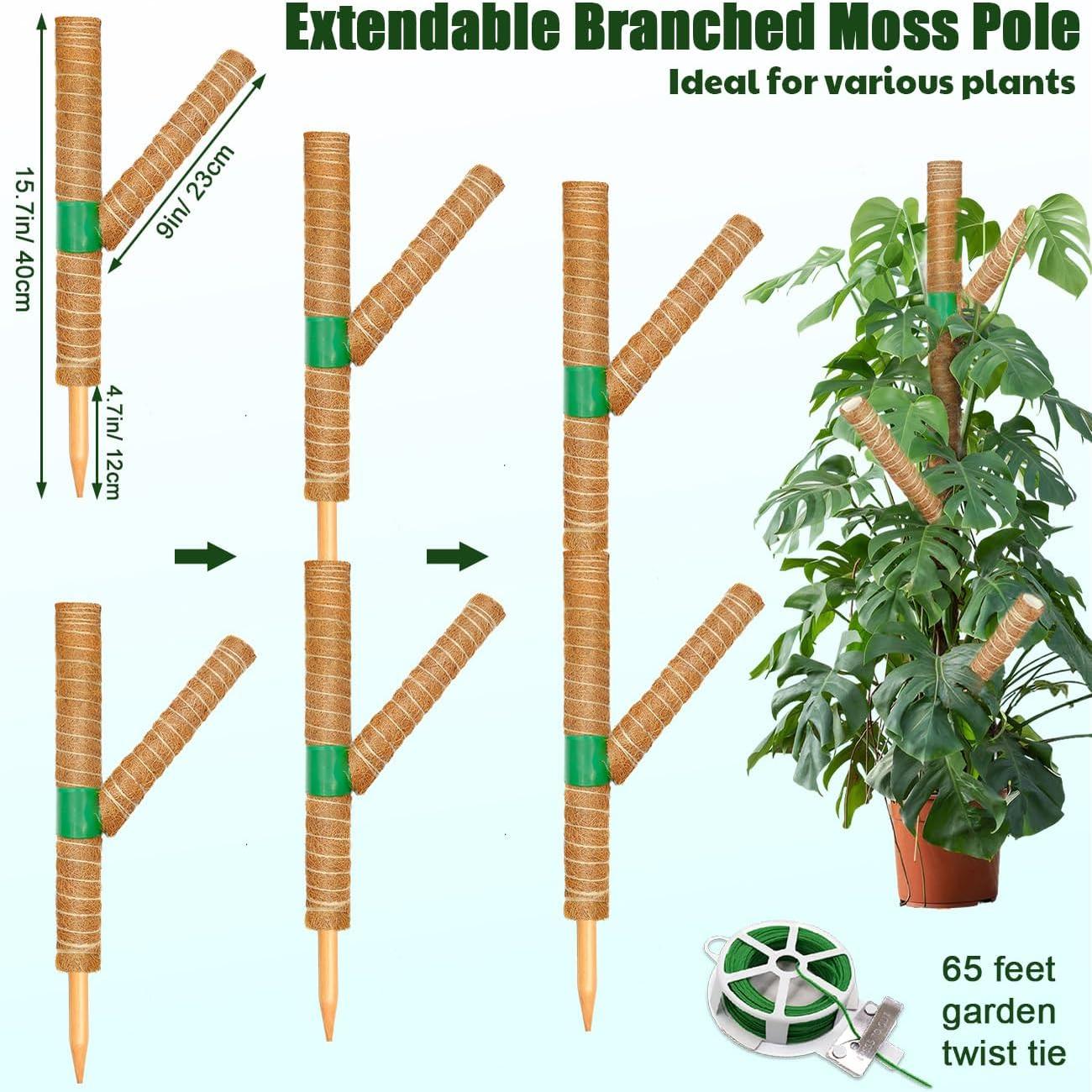 Moss Pole for Monstera  Support, 3 Pack 15.7'' Stackable Moss Poles for Climbing , Indoor Garden Coco Coir Poles for Monstera Deliciosa, Pothos, Philodendron (15.7In x 3Pack)
