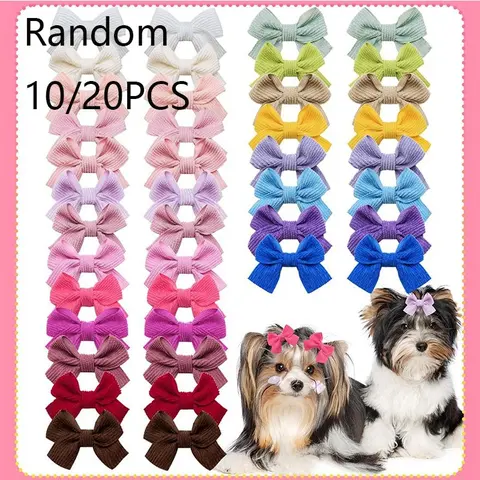 10/20pcs Pet Hair Bows with Clips, Cute Grooming Accessories for Puppy Cat, Multicolor Bows for Yorkie Shih Tzu Maltese