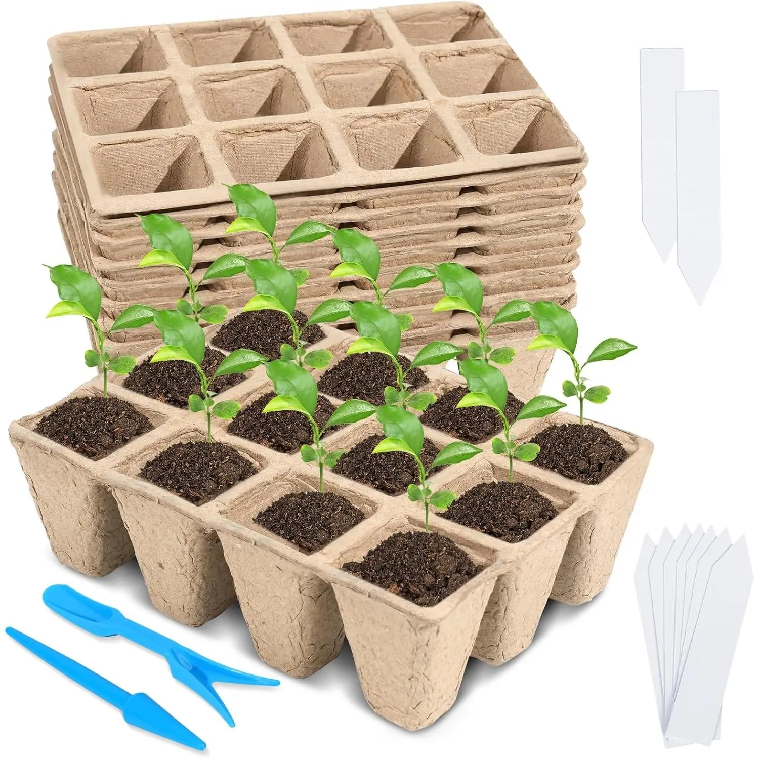 10 Packs Seedling Starter Trays, 120 Cells  Seed Starter  Pots,Seed Germination Starter Tray Kit with 20 Labels, 2 Transplant Tools