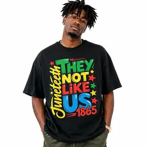 100% Cotton 180gsm They Not Like 1865 T-Shirt | Civil War History Tee | S-3XL | Vintage American Heritage Streetwear | Social Comment Tee