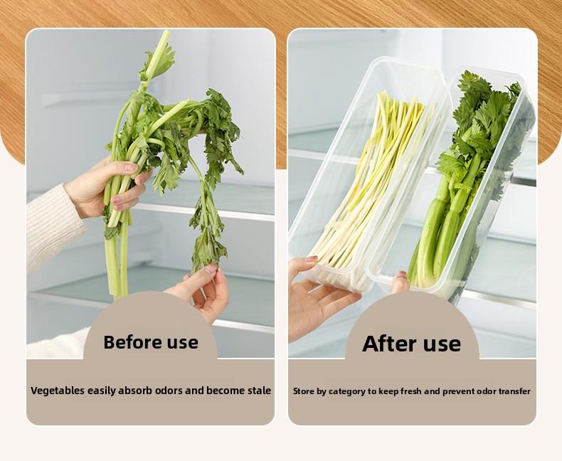 FaSoLa Refrigerator Storage Box for Scallions, Green Onions, and Coriander, Specialized Fresh-Keeping Box, Kitchen Food-Grade Sealed Box for Scallions, Ginger, and Garlic