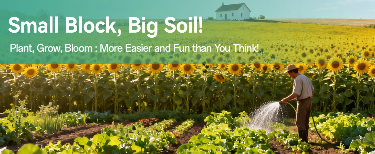 50 Pcs 30mm Organic Coco Coir Pellets for Seed Starter, Compressed Coir Potting Soil for Planting, Soil for Indoor Plants Herbs Flowers Vegetables