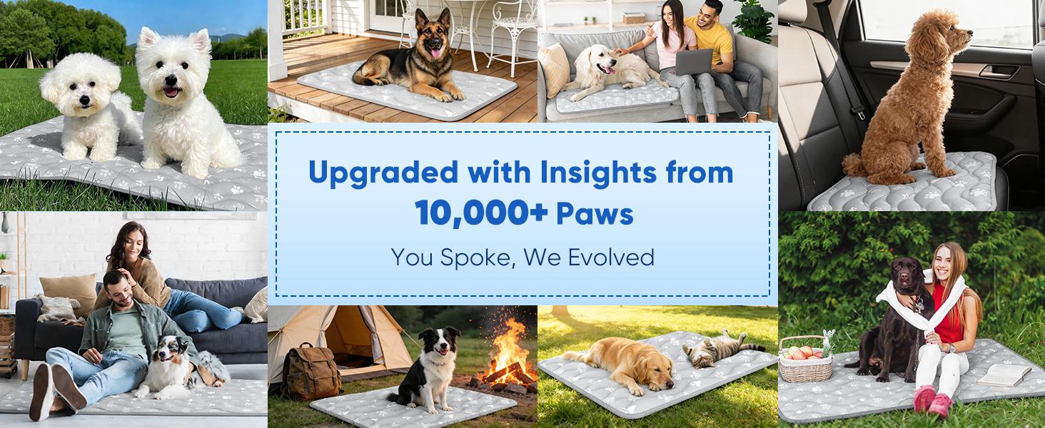 Super-Absorbent Cooling Mat for Dogs 44"x32" Arc-Chill 3.0 & Color-Changing Dog Cooling Mat, Stay Cool & Dry, Washable, Non-Slip Pet Bed Mat for Floors, Sofas, Kennels