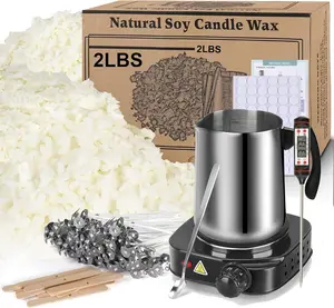 DIY Candle Making Kit with Electric Wax Melter Stove, 2lbs Natural Soy Wax Flakes Starter Set for Adults & Beginners, Full Craft Supplies with Wicks, Thermometer, Melting Pot