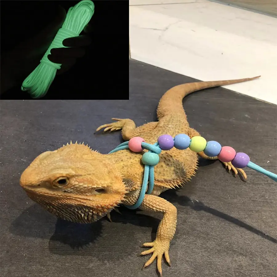 Lizard leash, reptile outdoor leash, lizard walking leash, small pet leash, luminous leash