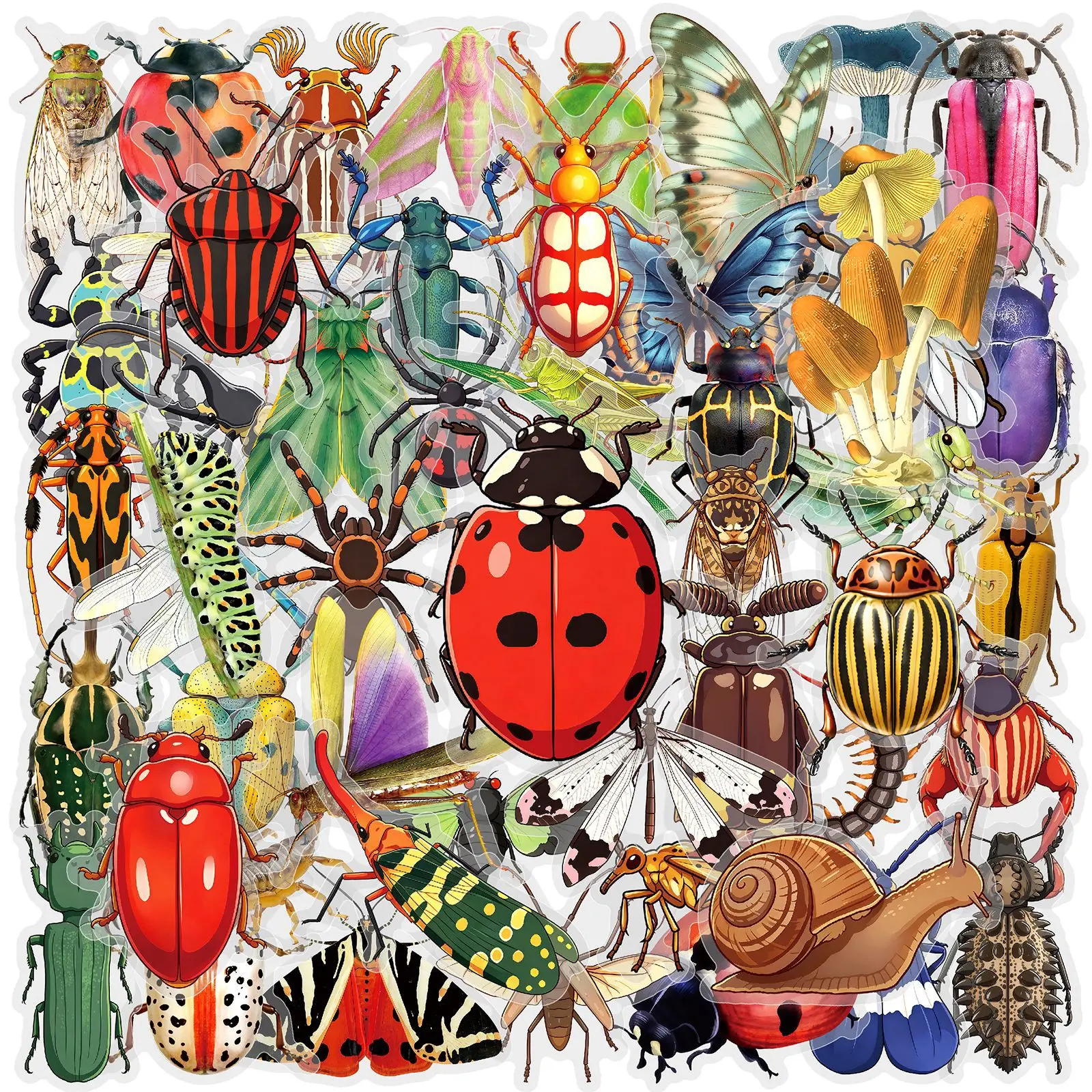 50pcs Cartoon Insects and Beetles Double-Transparent PET Stickers, Office Stickers, Stickers for Scrapbooking, Suitable for Scrapbooks, Diaries, Laptops, Etc., Designed with Faith, Gifts with Positive Messages.