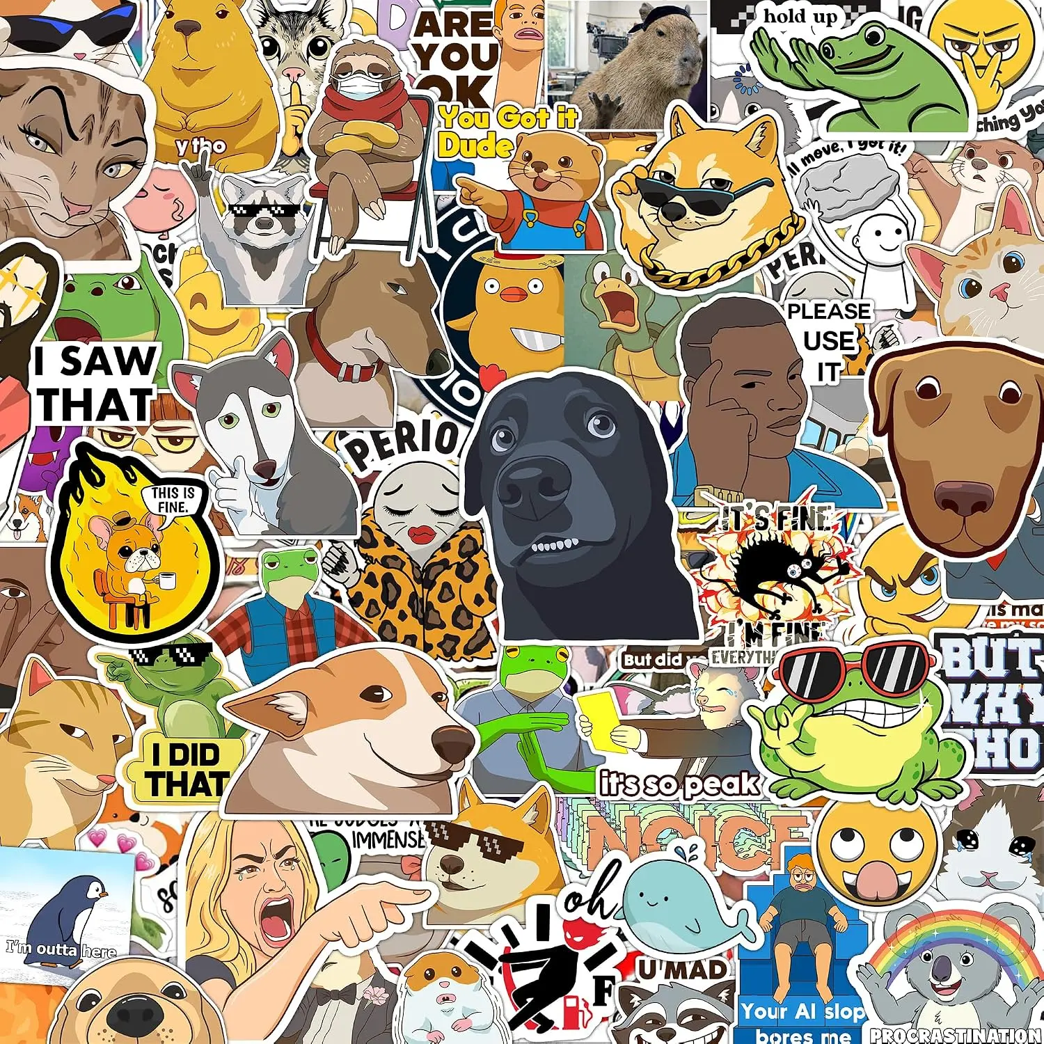 306pcs Funny Meme Vinyl Stickers Pack, Large Bulk Sticker for Laptop, Phone, Water Bottles, Computer Cars... Vine Sticker Decal DIY Décor for Bumper Accesory