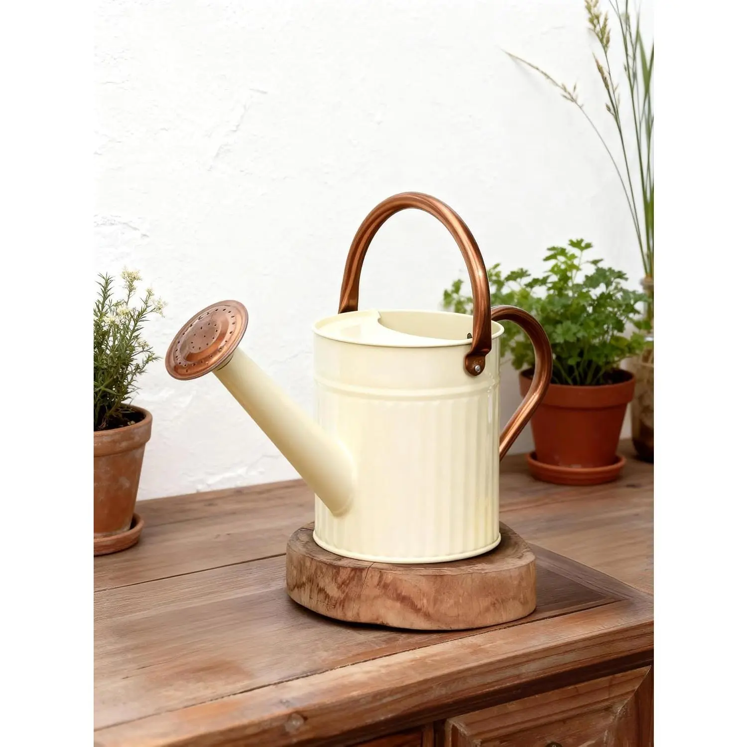 Metal Watering Can for Indoor Outdoor  1/2 Gallon Creamy |  watering cans with Removable Spout Embossd Design  Watering Devices Galvanized   & Garden Décor