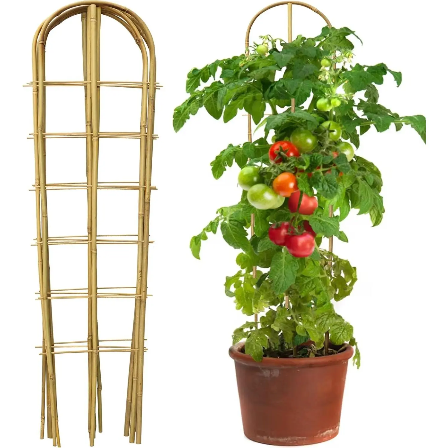3 Pack 4 Feet U-Shape Bamboo Trellis, Natural Garden Bamboo Trellis for Climbing Plants, Vegetables, Cucumber, Tomato, Outdoor and Indoor Potted Plants