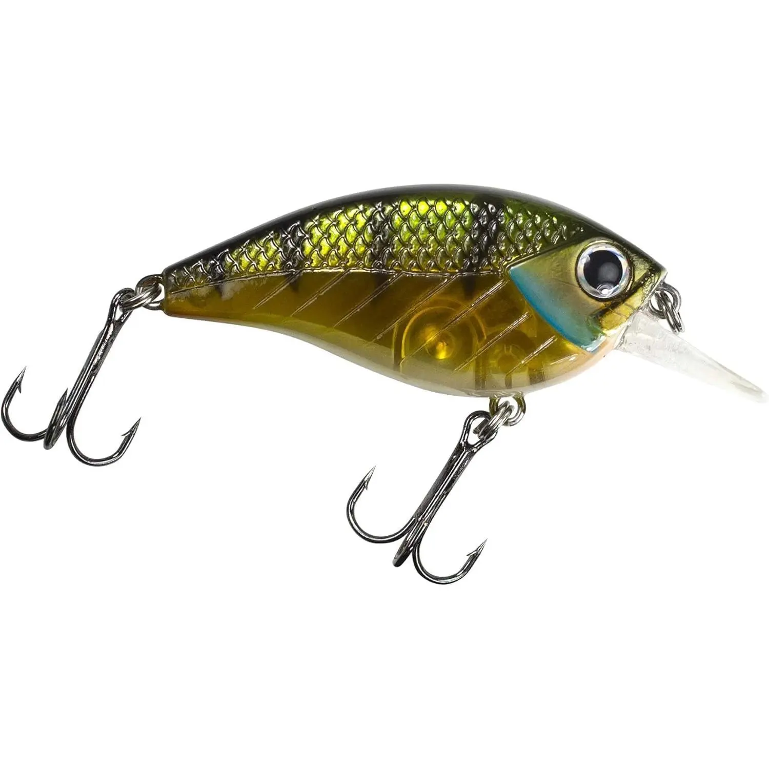 Jolt | Crankbait, Deep Diving Hard  Fishing Lure | Flat Sided Square Bill, Clear Water,  Water Lure for Bass Fishing, Trout and Spike, Crappie