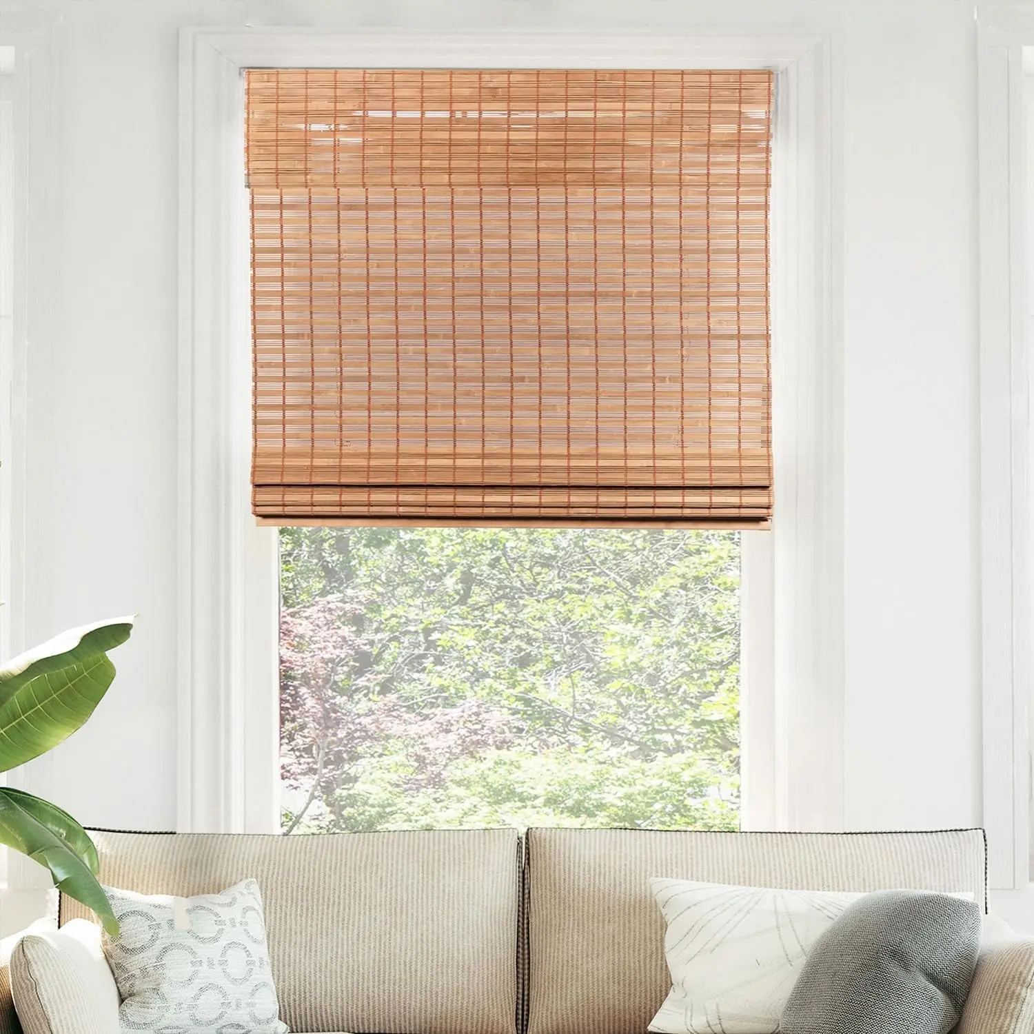 CHICOLOGY Bamboo Roman Shades, Customer Favorite Light Filtering Window Blinds, Premium Quality for Home, Squirrel Brown, 34"W X 64"H